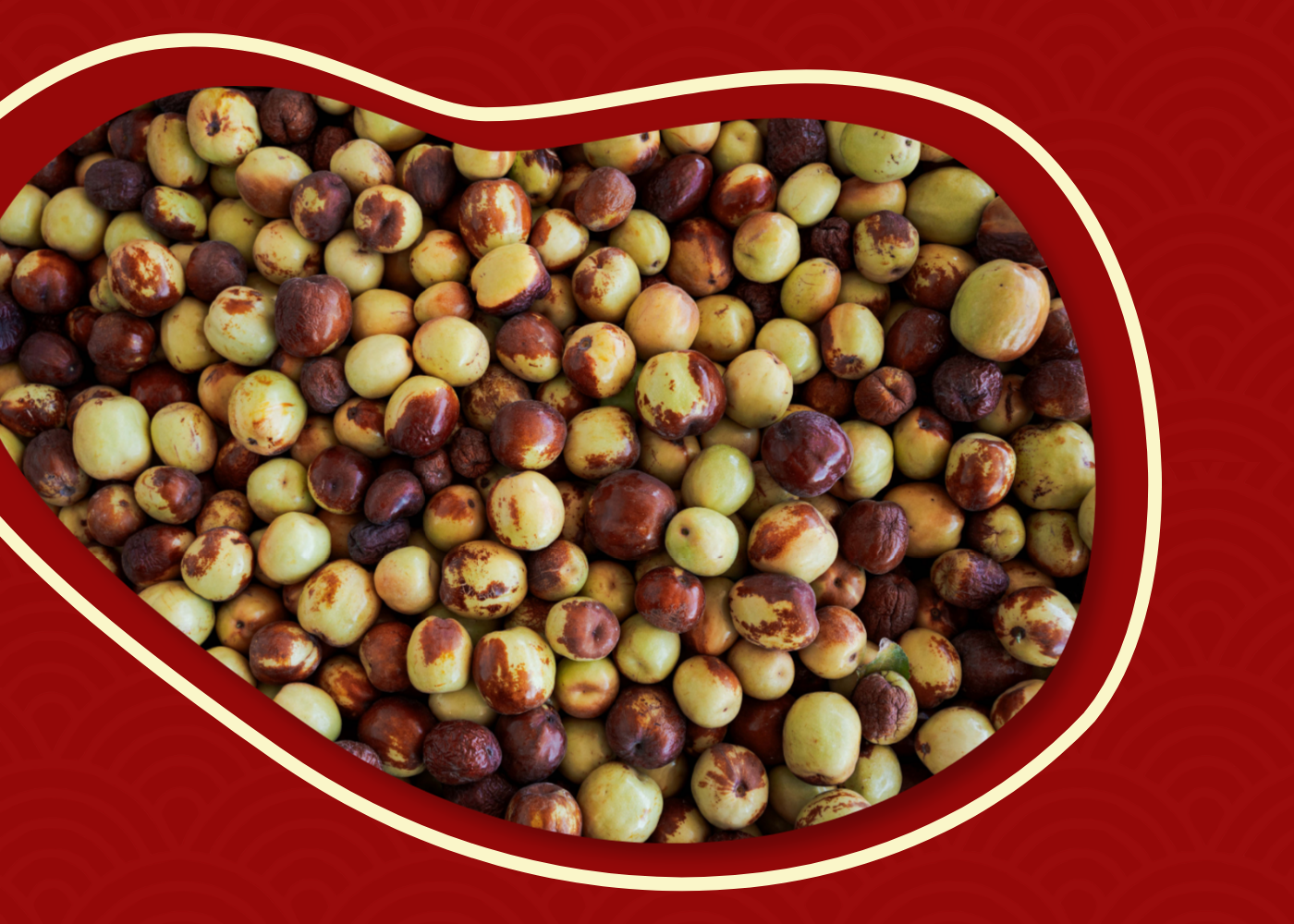 What Are Jujubes? A Guide to This Ancient Superfruit
